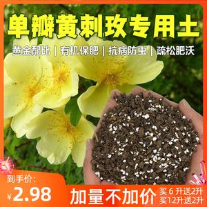 单瓣黄刺玫专用营养土养花专用土盆栽绿植有机土肥料花卉种植花土